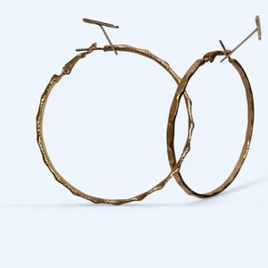 Francesca's Collections Textured Gold Hoop Earrings